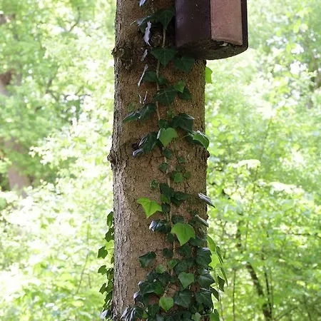 Campingplatz Aichelberg Kamp alanı Aichelberg (Goppingen)
